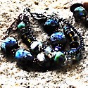 Fire and Glass-Sweetwater Designs : handmade glass beads and jewelry