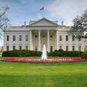 X for President : Who is next?