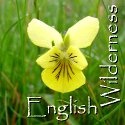 English Wilderness: Nature Photography : Exploring the wild places...