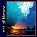 http://art-ofnature.blogspot.com/ : Nature is Art