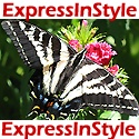 Express In Style :  pictures speaks louder than words
