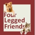 Four Legged Friends : Who else wants to lick you all over?
