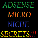 ADSENSE MICRO NICHE : Get your FREE Adsense Micro Niche Website Today!!!
