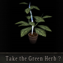Natural Herbal Remedies : 