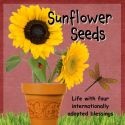 Sunflower Seeds : Life with four internationally adopted blessings
