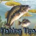 Fishing Tips Blog : Fox Lake Fishing Tips
