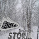 Wayfaring Through The Storm : Also hope for troubled times.
