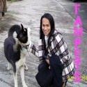 FAMPETS :  Ancestry, Balto, Micro, Pig, Anima, Rescue, RSPCA, Cainta, Lazer, Norfolk