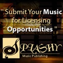 Music Licensing Opportunities : 