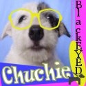 Blackeyed Chuchie : The little, furry mischief with lots of love to give!