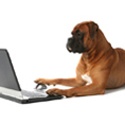 Business Blogging Tips : Blog and Web 2.0 Tips and Strategies