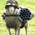 Newest Technology : 