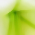 Nature Photography Blog : flower, landscape, nature, tree, photography, blog, 