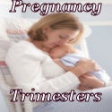 Trimesters. : Pregnancy Stages.