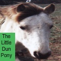 The Little Dun Pony : The Way I See It
