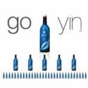 Madame Goyin : Go Go Goyin