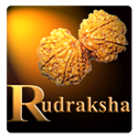 Miracles of rudraksha : For genuine Rudraksha Beads from Nepal