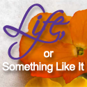 Life, or Something Like It : Immortalizing my seemingly insignificant existence.