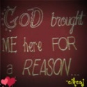 God Brought Me Here For A Reason : Live life fully!