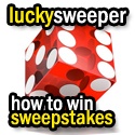Lucky Sweeper : How to Win Sweepstakes