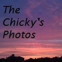 The Chicky's Photos : photos, photography, pictures
