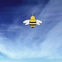 Isybee Autism : Autism, ASD, Aspergers, Autism Schools, Early Intervention, ABA, Therapy