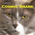 Cosmic Snark : A Semi-Coherent Collection Of Rants