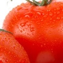 Tasty Appetite : Food, recipes,spicy curry, gravy, Indian dishes
