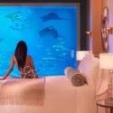 Aquatic, Home and Family Blog : Aquatic, flooring, furniture, garden, home appliance, home cleaning, kitchen