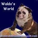 Waldo's World : The World From A Bulldog's Point of View