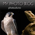 My Photo Blog : Photography,Photo,Pictures,Animals