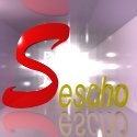 Sescho SEO Enterprise : 