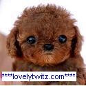 lovelytwitz.com : see 4 it