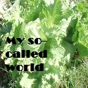 My so-called world : 
