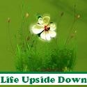 Life Upside Down : 