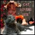 Cat Lovers Site : 
