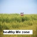 Healthy life zone : Healthy Life