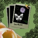 Bee-Mused : Dani'