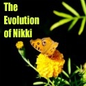 The Evolution of Nikki : Making a difference one word at a time