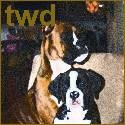 Together With Dogs : For the Well Being of our Dogs