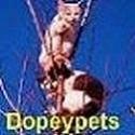Dopeypets : Some pets do the strangest things