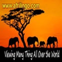 www.afrilingo.com : Viewing Many Thing All Over the World