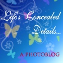 Life's Concealed Details : My Journey Through Photography