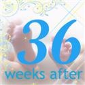 36 Weeks After : Babies, Parenting, Home, Family