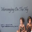 Mommying On The Fly : 