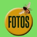 Interesting Photos : 