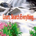 Learn - Search Everything : search everything