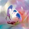 arthiker : art, picture thinking, visual thoughts