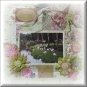 Sweet Home Designs : Cardmaking and Scrapbooking!