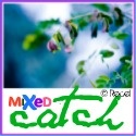 Mixed Catch : 
